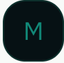 mirofish logo