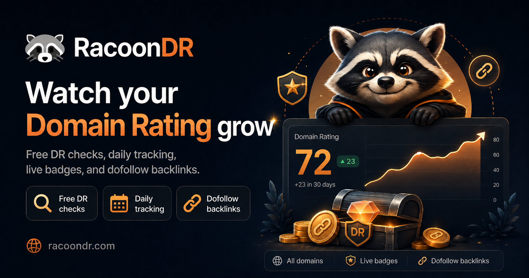 RacoonDR